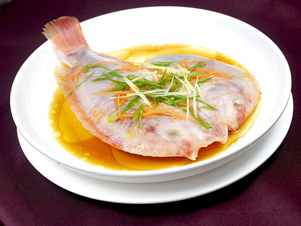 海紅斑魚(yú)